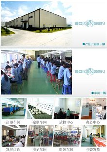 奧康恩的電子商務經營之道 創新、整合與可持續發展